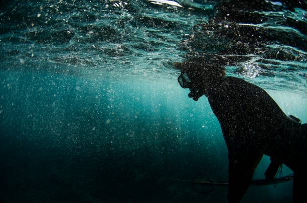 Maui Shore Fishing: Casting from Beaches, Lava Rocks, and Local Piers
