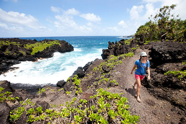 Maui Surf by Season: Finding the Right Break from Winter North Swells to Summer South Shore Glides