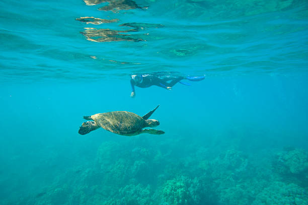 Paddle Into Paradise: Kayaking, Paddleboarding, and Outrigger Canoeing on Maui