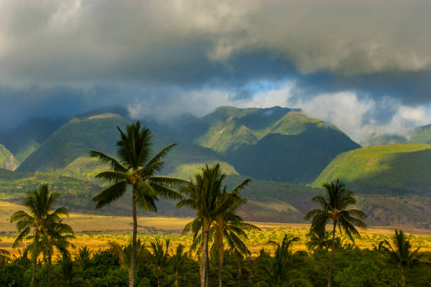 From Ancient Tradition to Spectacular Feast: The Evolution of the Maui Luau