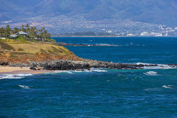 Maui Farmers Markets and Local Groceries: The Freshest Way to Taste the Island