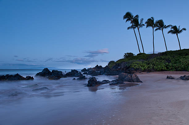 Maui After Dark: Bars, Happy Hours, and Live Music for Every Kind of Night