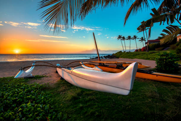 How to Talk Like a Maui Surfer: A Friendly Guide to Surf Slang and Lingo