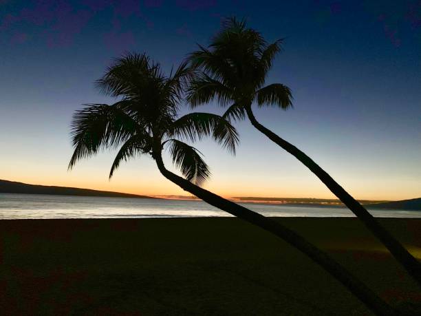 Maui After Dark: Happy Hours, Live Music, and Bars Worth Planning Your Evening Around