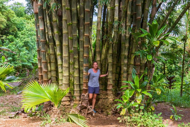 Above the Clouds: Native Plants and Botanical Gardens of Haleakala