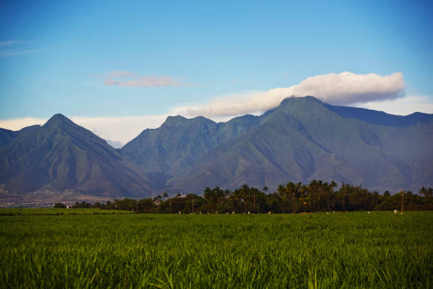 Traveling Maui with Aloha: Sustainable and Respectful Ways to Experience the Island