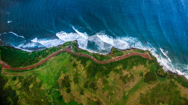 South Maui Beaches: A Coastal Guide to Kihei, Wailea, and Makena