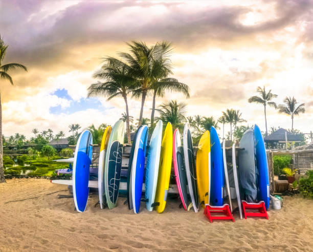West Maui Beach Guide: Kapalua to Kaanapali