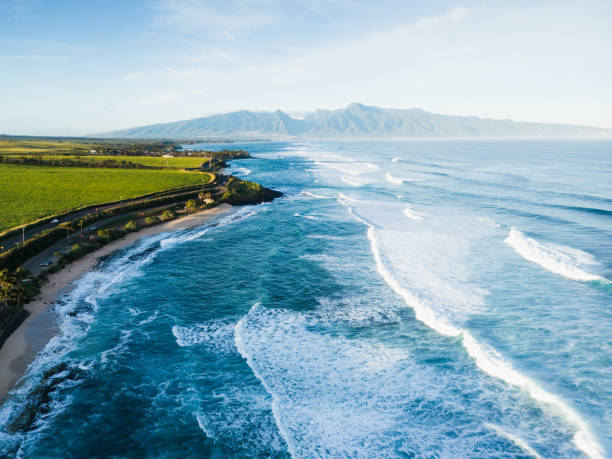 The Best Time to Visit Maui: Weather, Waves, Whales, and Local Culture