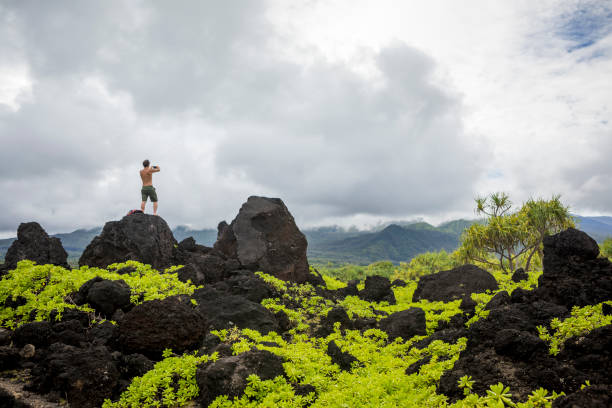 West Maui and Central Maui Trails: Ridges, Rainforests, and Coastal Views