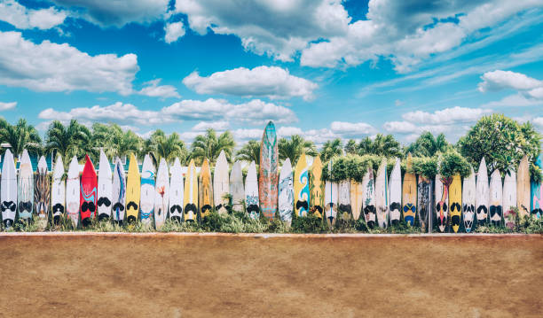 Peahi Jaws: Maui’s Ultimate Big-Wave Surfing Arena