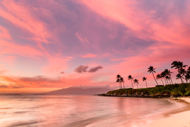 Visiting Lahaina with Respect: A Traveler’s Guide to Supporting West Maui’s Recovery