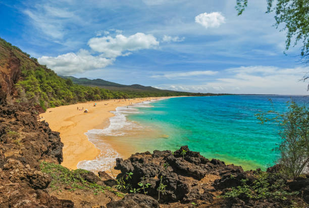 The Best Time to Visit Maui: Weather, Whales, and Island Rhythms