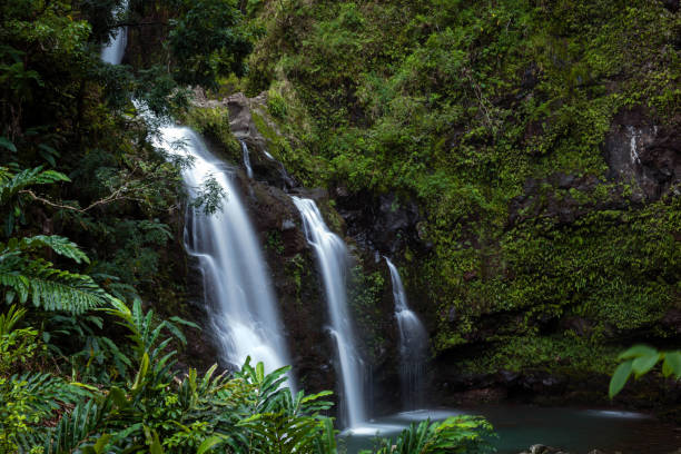 Maui on a Budget: How to Experience Island Culture and Beauty for Less