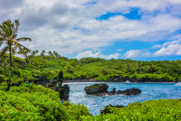 Maui on a Budget: How to Travel Pono Without Missing the Magic