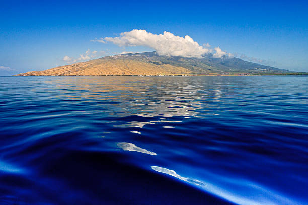 Maui Sunset Dinner Cruises: An Unforgettable Evening on the Pacific