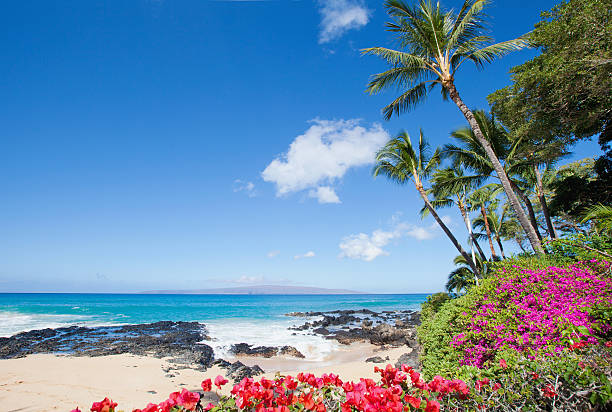 The Best Time to Visit Maui: Weather, Crowds, Culture, and Local Rhythms