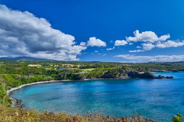 Maui Plate Lunches and Poke: A Delicious Guide to Hawaiian Comfort Food