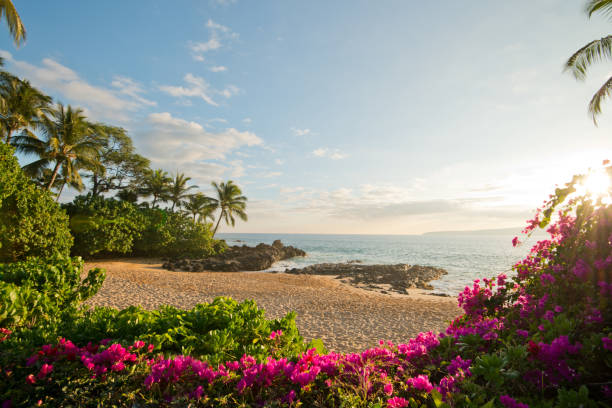 Little Beach and the Sunday Drum Circle: A South Maui Sunset Ritual