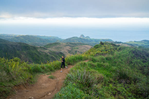West and Central Maui Trails: Ridge Hikes, Rainforest Walks, and Coastal Paths
