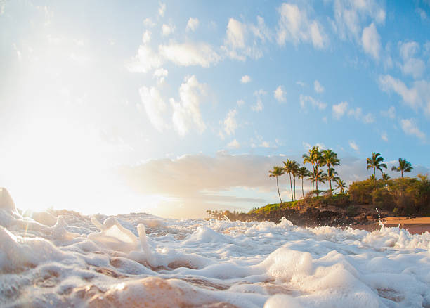 Hidden Maui Beaches: A Guide to Secluded Sands and Quiet Coves