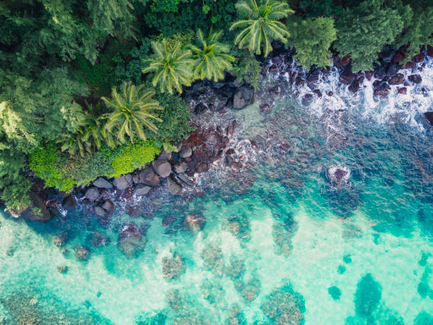 South Maui Beaches: A Beach-Hopper’s Guide to Kihei, Wailea, and Makena