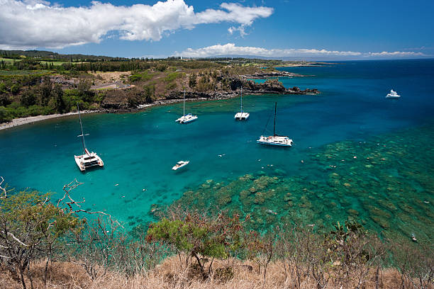 Maui Sunset Sails and Dinner Cruises: The Perfect End to a Day in Paradise