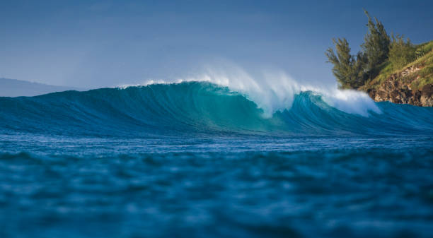 Catching the Trade Winds: Windsurfing and Kitesurfing on Maui