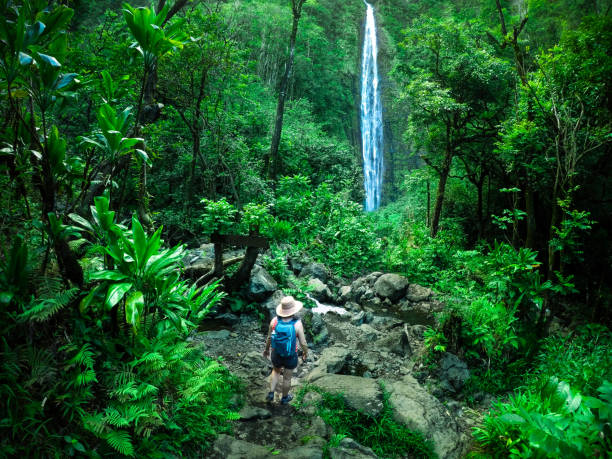 From Haleakala to Hana: Discovering Maui’s Native Plants and Botanical Gardens