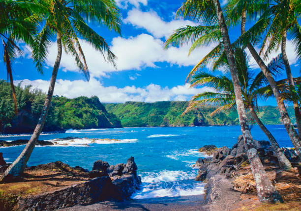 Romantic Honeymoon Stays on Maui: Adults-Only Escapes in Wailea and Beyond
