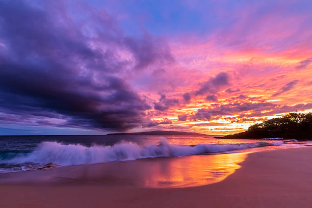 Family-Friendly and Kid-Safe Maui Beaches by Region: Calm Bays, Tide Pools, and Lifeguarded Sand
