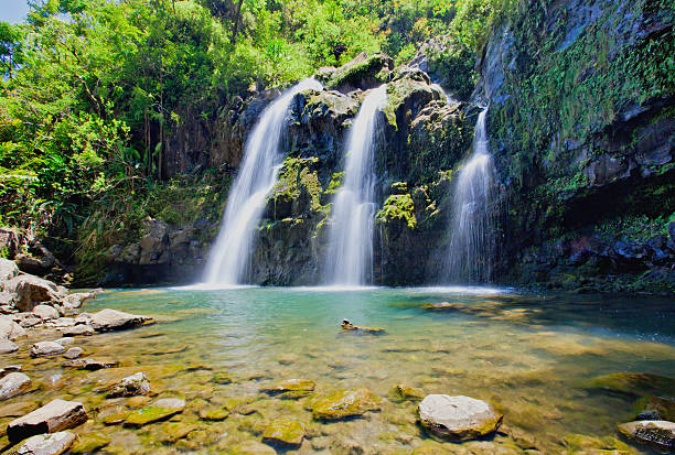 Road to Hana Hikes and Waterfalls: A Hiker’s Guide to Maui’s Rainforest