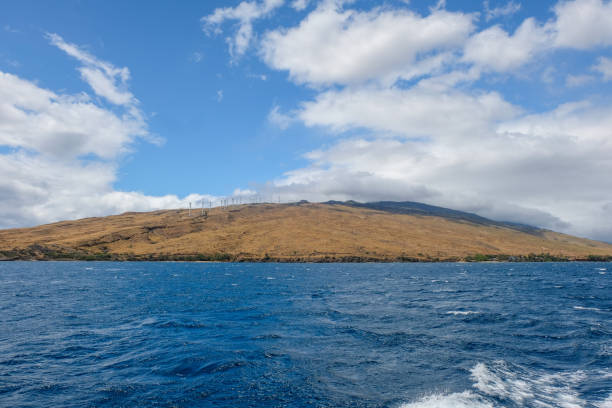 Catching Maui’s Trade Winds: Windsurfing and Kitesurfing Across the Island