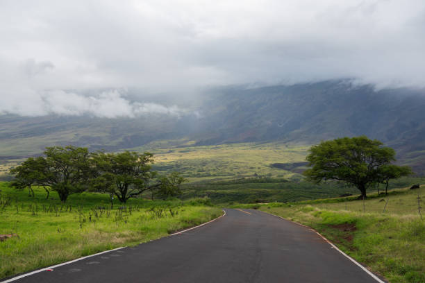 Upcountry Maui: Kula, Makawao, and Pukalani in the Cooler Air