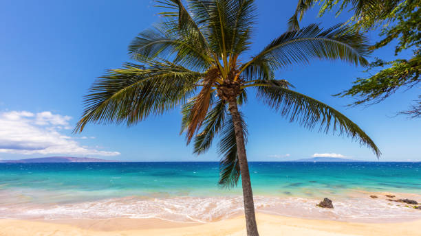 Where to Stay in Kapalua and Napili: Resorts for Golf, Romance, and Family Beach Days