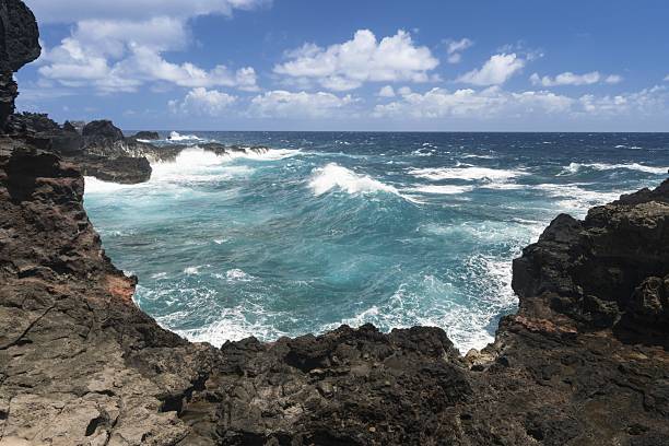 Central and North Shore Maui Beaches: Wind, Waves, and Local Life