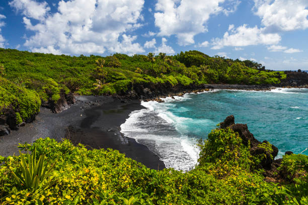 When the Humpbacks Return: A Guide to Whale Watching Season on Maui