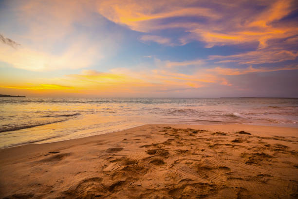 Wailea Luxury Resorts: A Guide to Maui’s Sunny South Shore Elegance