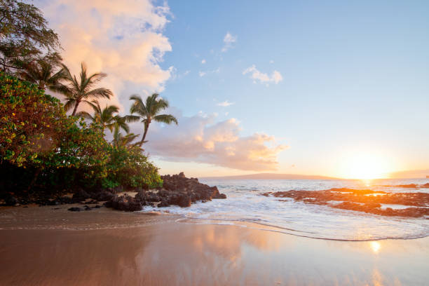 How to Choose the Right Maui Condo, Villa, or Vacation Rental