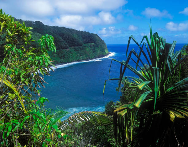 Upcountry Maui: Where Paniolo Towns, Farmland, and Mountain Views Meet