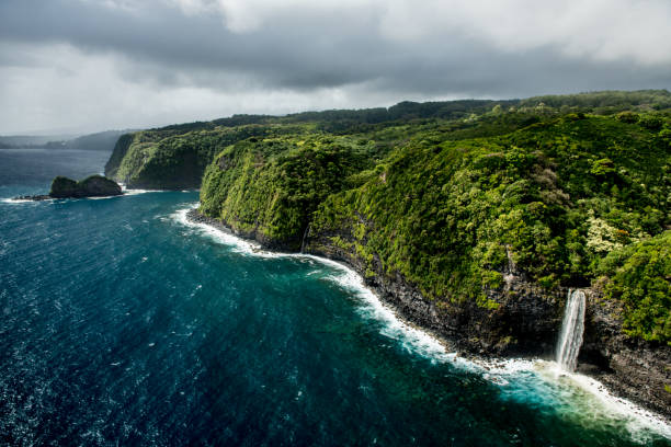 Longboarding on Maui: The Timeless Glide of Classic Surf Style