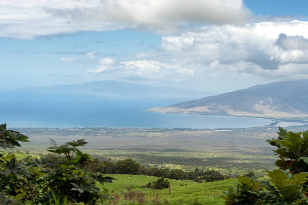 Budget Stays on Maui: Affordable Condos, Hostels, and Smart Booking Tips