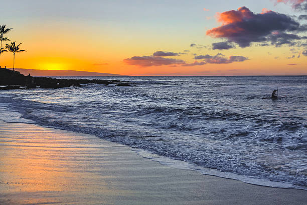Longboarding Maui: Classic Surf Style and the Soul of the Island