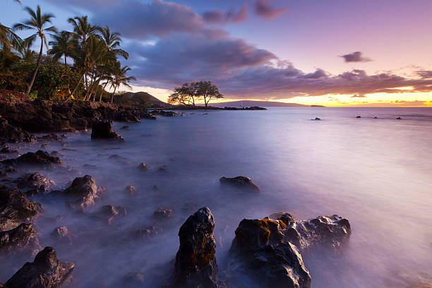 Maui After Sunset: Bars, Happy Hours, and Live Music for an Easygoing Night Out
