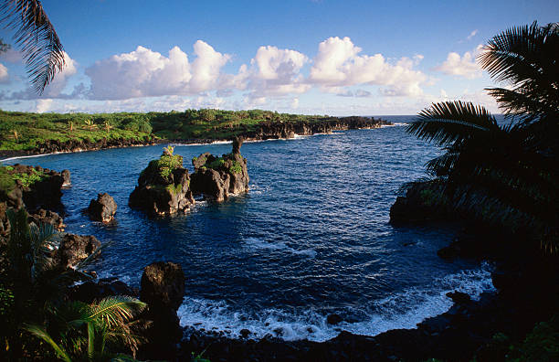 South Maui Eats: A Regional Guide to Kihei, Wailea, and Makena