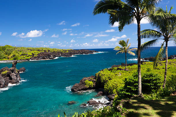 Visiting Lahaina with Respect: Supporting Recovery and Honoring West Maui’s Spirit