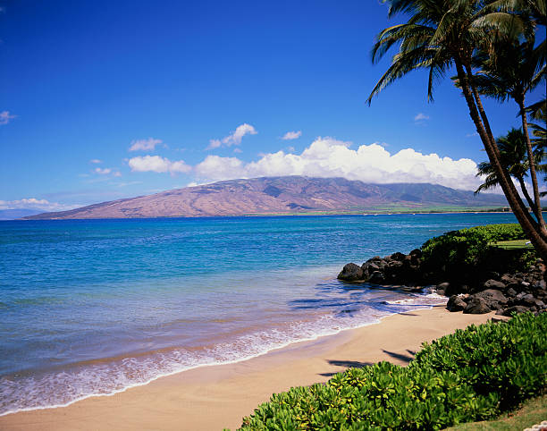 Paddling Maui: Kayaking, Paddleboarding, and Outrigger Canoeing in Hawaii’s Island Playground