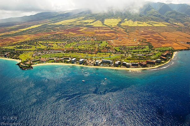 Where to Stay on Maui: Choosing Your Region for the Trip You Really Want