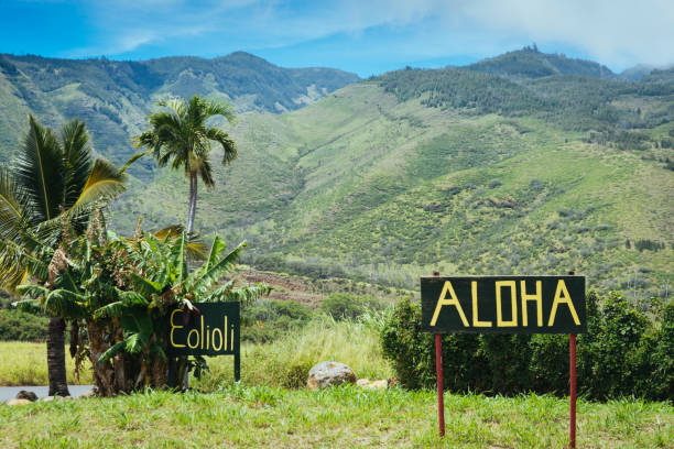 Where to Eat in Maui: A Region-by-Region Guide to Island Flavors