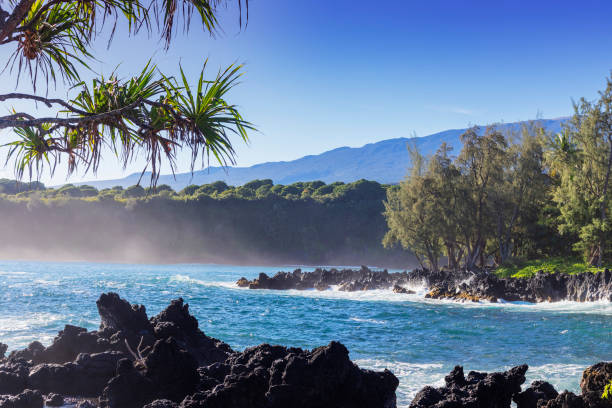 Reading Maui’s Shorebreak: A Beach Safety Guide to Ocean Conditions